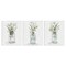 Stupell Industries Jars of Watercolor Style Flowers 3pc Canvas Set By Livi Finn
